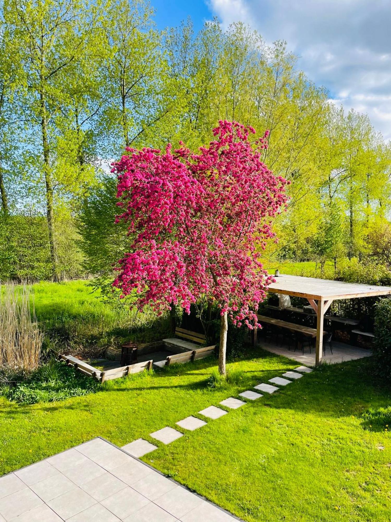 Villa Calma Rust Ruimte Luxe Inclusief Private Jacuzzi Zeewolde Bagian luar foto